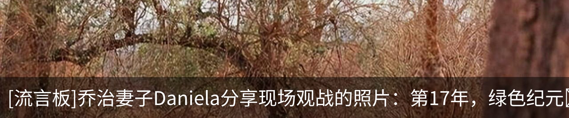 行业资讯